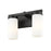 Z-Lite Danica 2 Light 11.75" Vanity, Matte Black/White