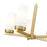 Z-Lite Danica 5 Light 19.5" Chandelier, Modern Gold/White