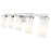Z-Lite Danica 5 Light Vanity, Brushed Nickel/White