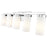 Z-Lite Danica 5 Light Vanity, Chrome/White