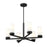 Z-Lite Danica 6 Light 26" Chandelier, Matte Black/White