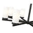 Z-Lite Danica 8 Light 31.5" Chandelier, Matte Black/White