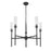 Z-Lite Esme 5 Light Chandelier, Matte Black/Clear