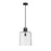 Z-Lite Kinsley 1 Light Pendant, Clear Seeded
