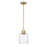 Z-Lite Kinsley 1 Light Pendant, Clear