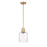 Z-Lite Kinsley 1 Light Pendant, Clear