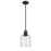 Z-Lite Kinsley 1 Light Pendant, Clear