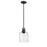 Z-Lite Kinsley 1 Light Pendant, Clear
