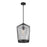 Z-Lite Lido 1 Light Pendant, Matte Black/Clear