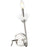 Z-Lite Allistair 2 Light Wall Sconce, Polished Nickel/Clear Ribbed