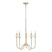 Z-Lite Allistair 5 Light Chandelier, Modern Gold/Clear Ribbed - 352-5MGLD