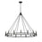 Z-Lite Dennison 16 Light Chandelier, Matte Black - 4005-16MB
