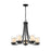 Z-Lite Willow Chandelier, Black, Inner White/Outer Clear