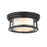 Z-Lite Willow 2 Light 5" Flush