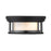 Z-Lite Willow 2 Light 5" Flush