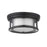 Z-Lite Willow 2 Light 5" Flush