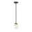 Z-Lite Willow 1 Light 54" Mini Pendant, Black, Inner White