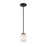 Z-Lite Willow 1 Light 54" Mini Pendant, Black, Inner White