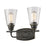 Z-Lite Annora 2 Light Vanity Light, Olde Bronze, Clear - 428-2V-OB