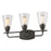 Z-Lite Annora 3 Light Vanity Light, Olde Bronze, Clear - 428-3V-OB