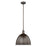 Z-Lite Sawyer 1 Light 12.5" Pendant, Bronze/Bronze - 4500P12-BRZ