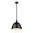Z-Lite Sawyer 1 Light 12.5" Pendant, Matte Black/Matte Black