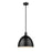 Z-Lite Sawyer 1 Light 12.5" Pendant, Matte Black/Matte Black