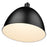Z-Lite Sawyer 1 Light 12.5" Pendant, Matte Black/Matte Black