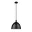 Z-Lite Sawyer 1 Light 12.5" Pendant, Matte Black/Matte Black