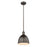 Z-Lite Sawyer 1 Light 10" Pendant, Bronze/Bronze