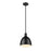 Z-Lite Sawyer 1 Light 10" Pendant, Matte Black/Matte Black