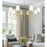 Z-Lite Jisele 8 Light Chandelier, Rubbed Brass/White