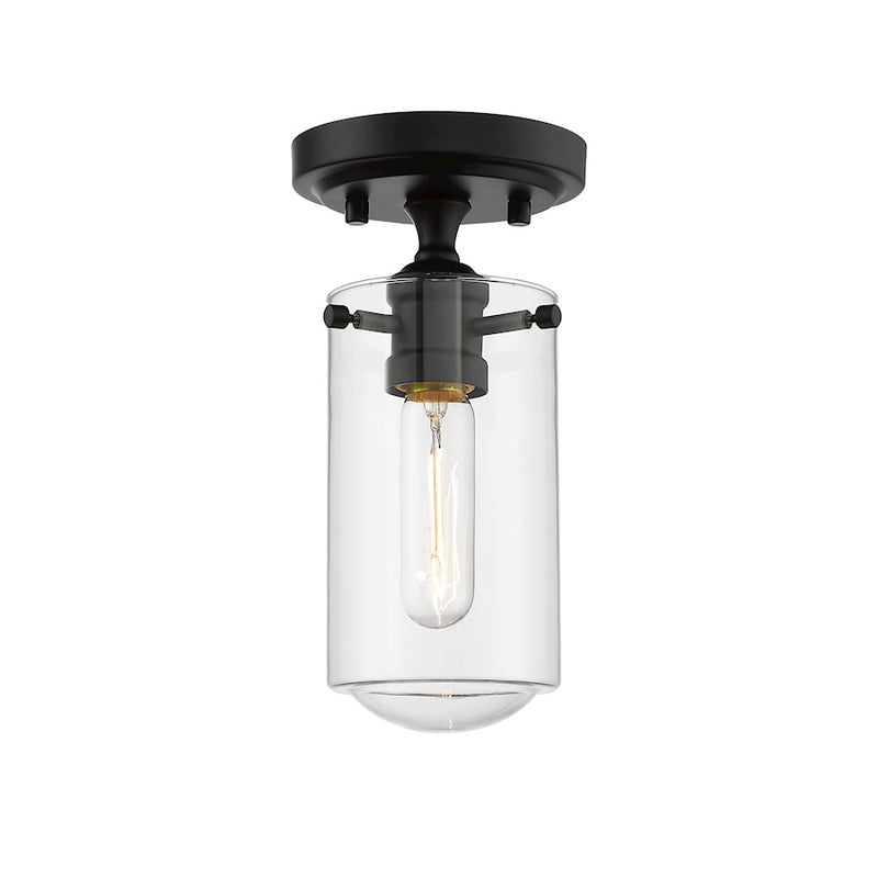 Z-Lite Delaney 1 Light 10.5" Flush Mount, Clear