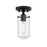 Z-Lite Delaney 1 Light 10.5" Flush Mount, Clear
