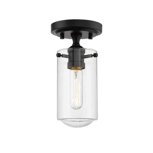 Z-Lite Delaney 1 Light 10.5" Flush Mount, Clear