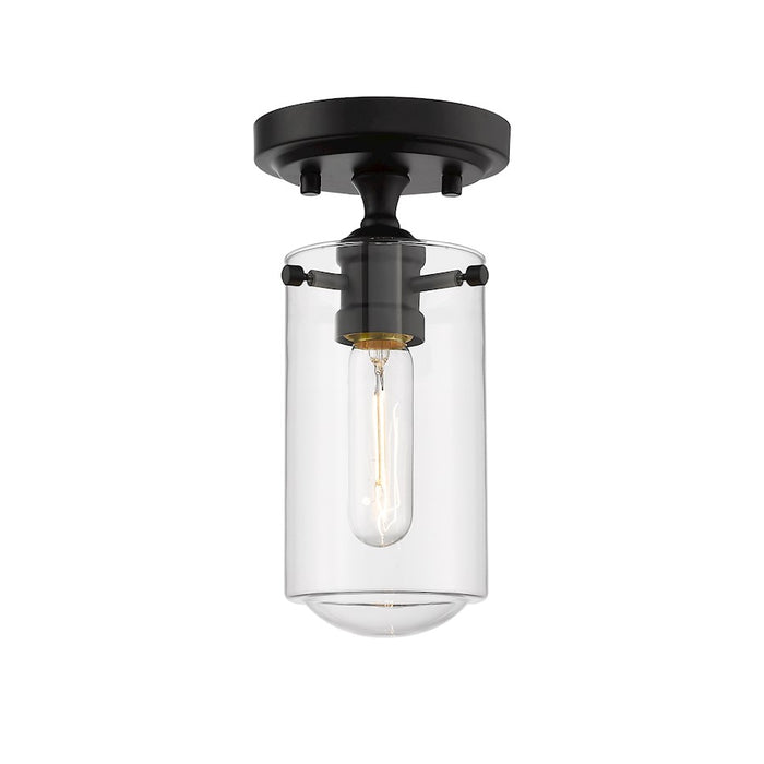 Z-Lite Delaney 1 Light 10.5" Flush Mount, Clear