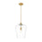 Z-Lite Joliet 1 Light 12" Pendant, Burnished Brass/Clear