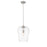 Z-Lite Joliet 1 Light 16.25" Pendant, Brushed Nickel/Clear
