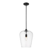 Z-Lite Joliet 1 Light 16.25" Pendant, Matte Black, Clear - 473P12-MB