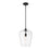 Z-Lite Joliet 1 Light 16.25" Pendant, Matte Black, Clear - 473P12-MB
