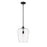 Z-Lite Joliet 1 Light 16.25" Pendant, Matte Black/Clear