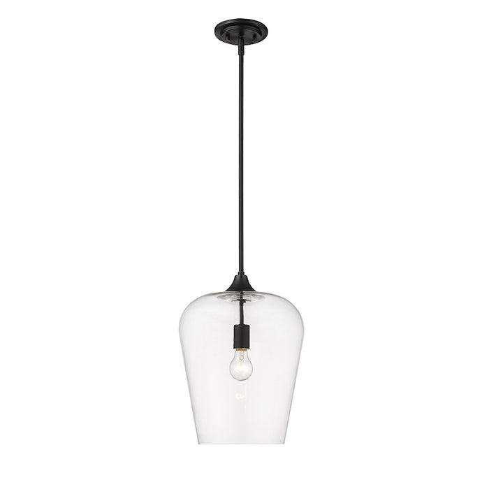 Z-Lite Joliet 1 Light 16.25" Pendant, Matte Black/Clear