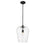 Z-Lite Joliet 1 Light 16.25" Pendant, Matte Black/Clear