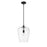 Z-Lite Joliet 1 Light 16.25" Pendant, Matte Black/Clear