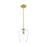 Z-Lite Joliet 1 Light 9" Pendant, Burnished Brass/Clear