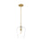 Z-Lite Joliet 1 Light 9" Pendant, Burnished Brass/Clear