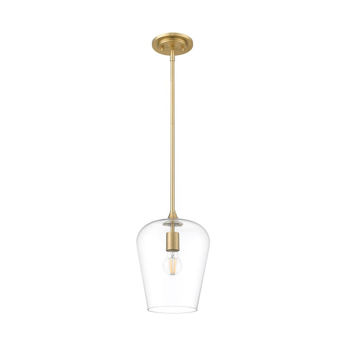 Z-Lite Joliet 1 Light 9" Pendant, Burnished Brass/Clear