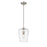 Z-Lite Joliet 1 Light 12.25" Pendant, Brushed Nickel/Clear