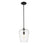 Z-Lite Joliet 1 Light 12.25" Pendant, Matte Black/Clear