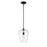 Z-Lite Joliet 1 Light 12.25" Pendant, Matte Black/Clear